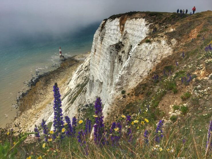 From Cambridge: Guided Day Tour to Brighton & Beachy Head - Good To Know