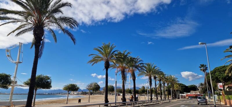 From Cambrils: catamaran 2h with drinks/bed balinese, swim. - The Sum Up