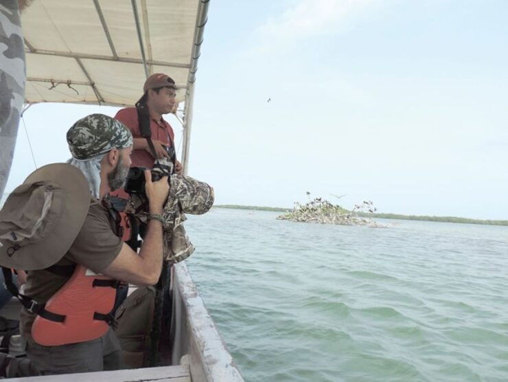 From Campeche: Archaeological Route: Uxmal and Becal - Experience Highlights