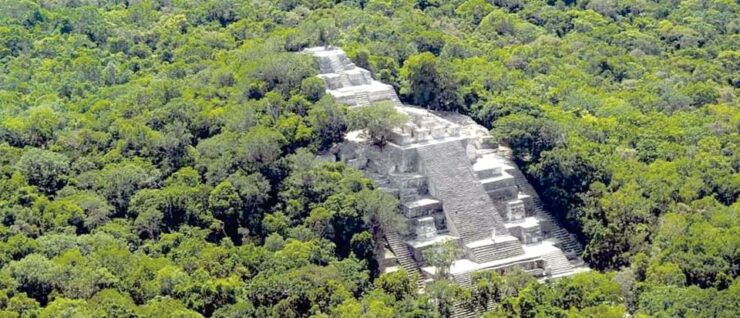 From Campeche: Calakmul Guided Nature and History Day Trip - Activity Information