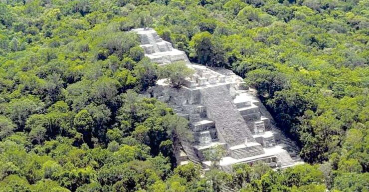 From Campeche: Calakmul Guided Nature and History Day Trip - Experience Highlights