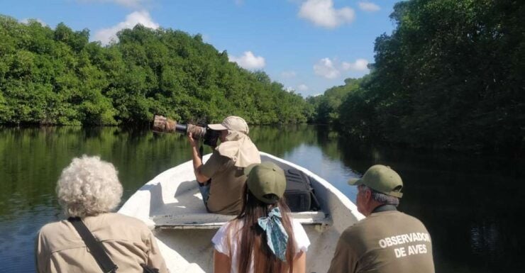 From Campeche: Mamantel River Tour - Itinerary Details