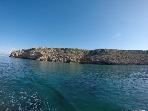 From Can Pastilla : Sailing Boat Trip With Food & Drinks - Customer Feedback