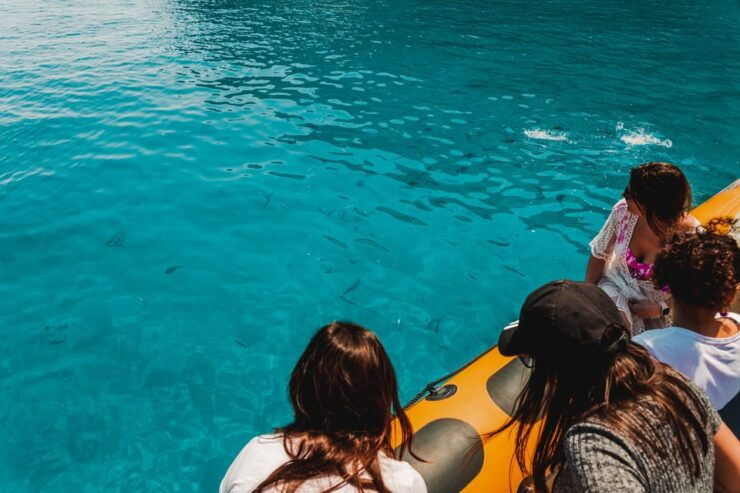 From Can Picafort: Dolphin Watching and Cave Boat Trip - Good To Know
