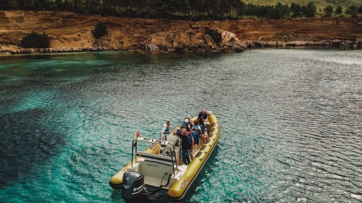 From Can Picafort: Dolphin Watching and Cave Boat Trip - Itinerary and Highlights