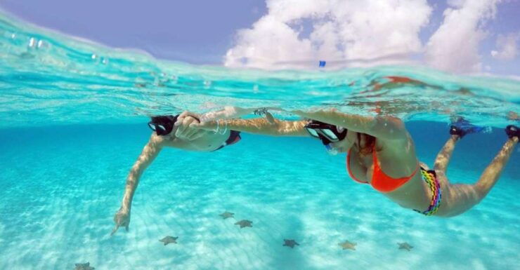 From Cancun and Riviera Maya: Cozumel Snorkeling Tour - Activity Details