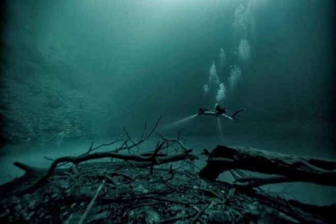 From Cancun: Angelita and Taj Ma Ha Cenote Diving Experience - Inclusions