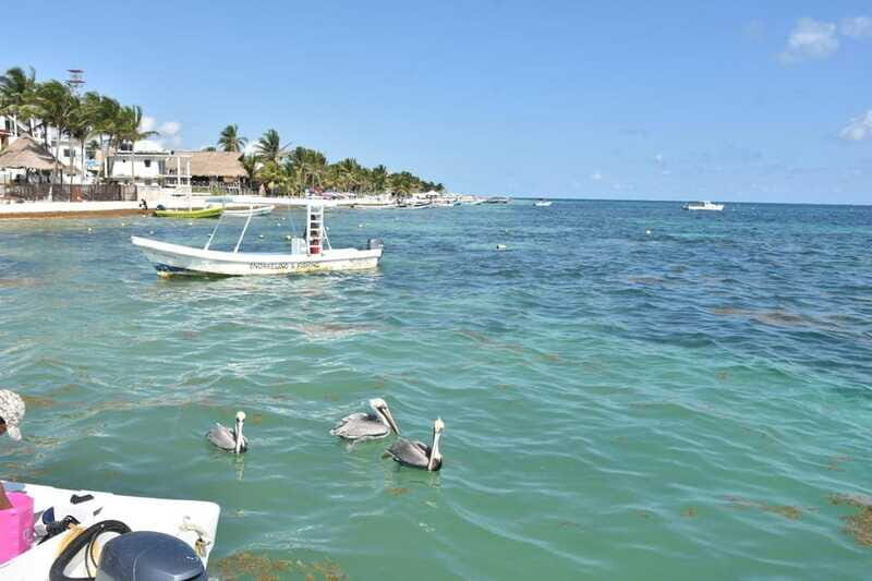 From Cancun: ATV EXPRESS Cenote Adventure with lunch - Final Thoughts: Is It Worth It?