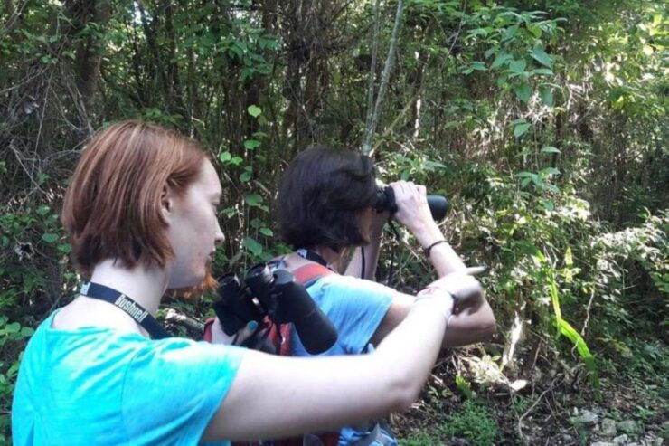 From Cancun: Bird Watching Day Tour - Tour Details