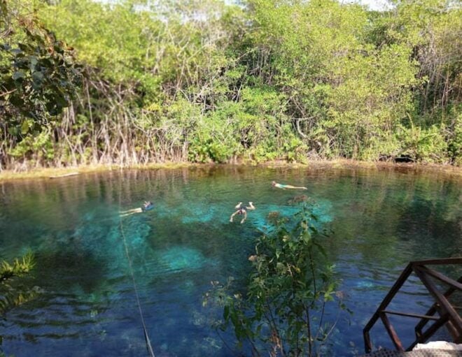 From Cancun: Cave and Open Cenote - Lasting Memories in Nature