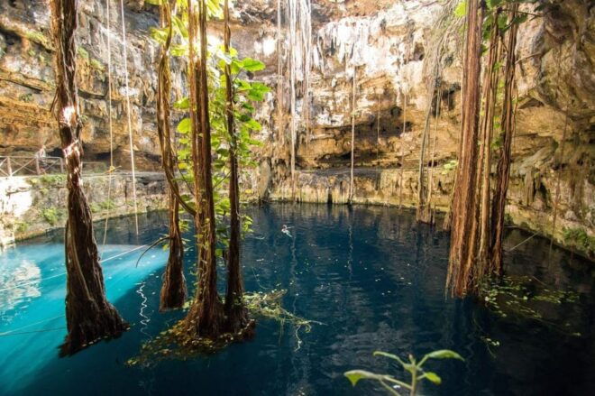 From Cancun: Cenote Experience With Guide and Transport - Small Group Experience