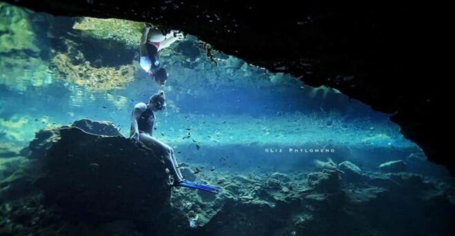 From Cancun: Cenote Snorkeling - Unique Snorkeling Experiences