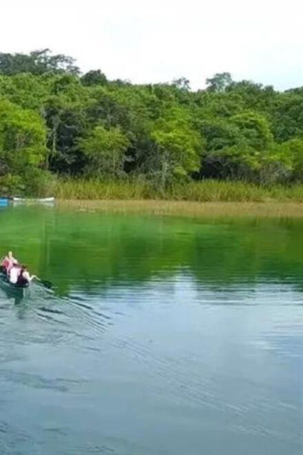 From Cancun: Coba Ruins and Punta Laguna Day Trip - Transportation and Group Details