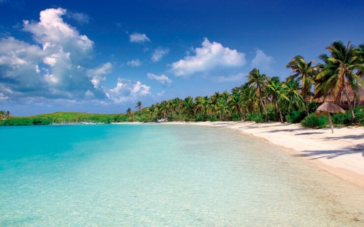 From Cancun: Contoy and Isla Mujeres Day Tour - Tour Overview