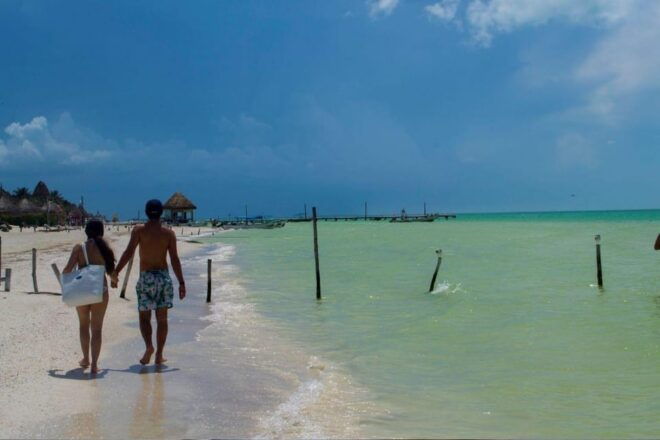 From Cancun: Discover the Best of Holbox - Yalahau Lagoon Exploration