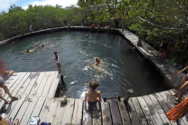 From Cancun: Discover the Best of Holbox - Inclusion Details