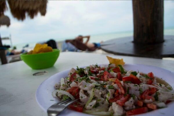 From Cancun: Discover the Best of Holbox - Booking and Availability
