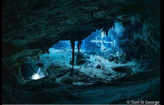 From Cancun: Dos Ojos Cenote Diving Experience - Exploring Cenote Dreamgate