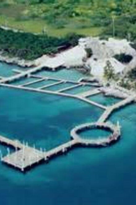 From Cancun: Explore the Wonders of Isla Mujeres - Dining and Refreshments