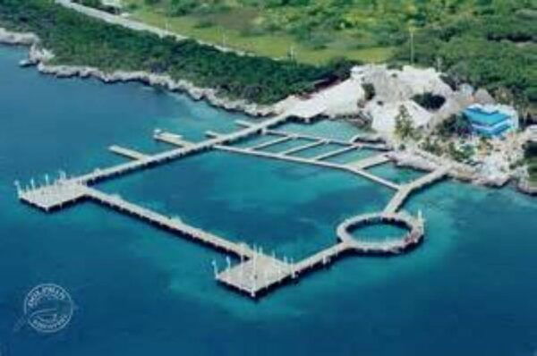 From Cancun: Explore the Wonders of Isla Mujeres - Frequently Asked Questions
