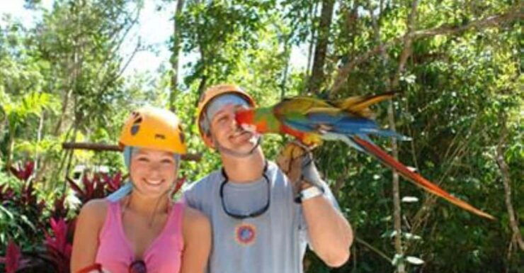 From Cancun: Extreme Canopy Adventure Tour - Good To Know