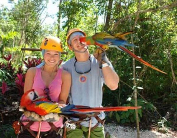 From Cancun: Extreme Canopy Adventure Tour - Frequently Asked Questions