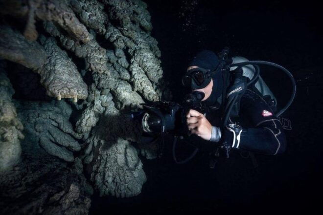 From Cancun: Fast Boat Cozumel Diving Experience - Dive Level Suitability