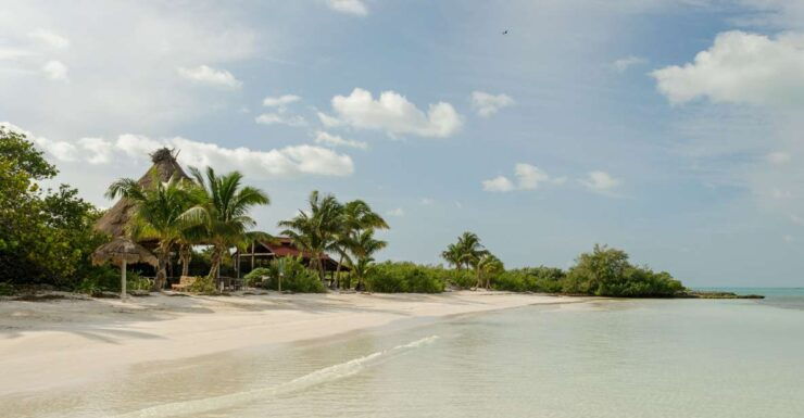 From Cancún: Isla Contoy Private Guided Day Trip With Lunch - Experience Highlights