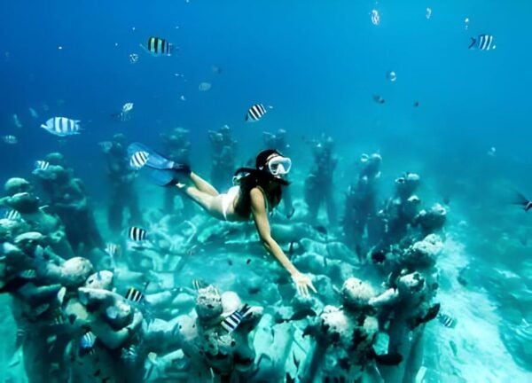 From Cancun: Isla Mujeres by Luxury Catamaran With Drinks - Pricing and Duration