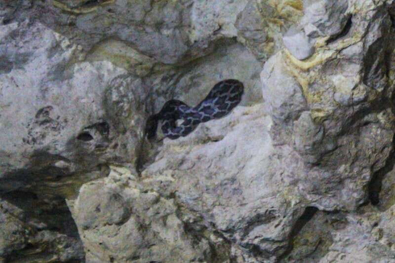 From Cancun: Kantemó Snake Cavern Adventure - Why This Tour Works Well