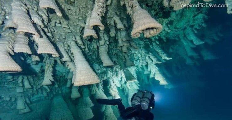 From Cancun: Kin Ha & Hells Bells Cenote Diving Experience - Good To Know