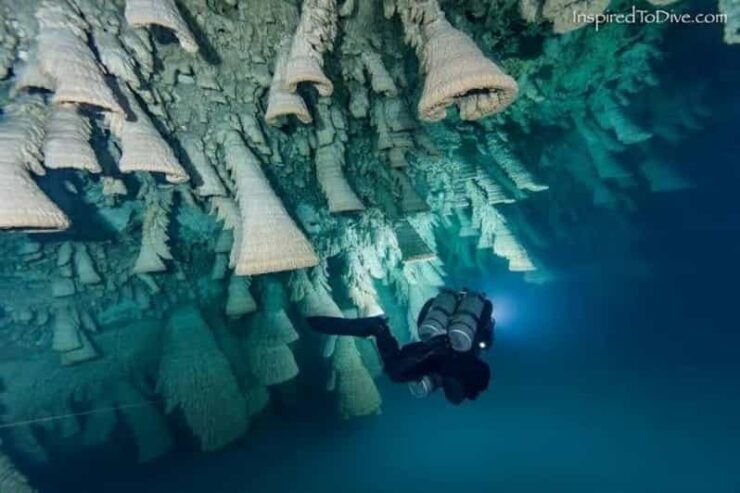 From Cancun: Kin Ha & Hells Bells Cenote Diving Experience - Hells Bells Cenote Exploration