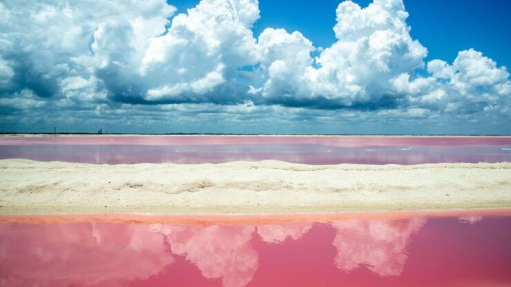 From Cancun: Las Coloradas - Safari & Salt Mining Day Trip - Activity Details
