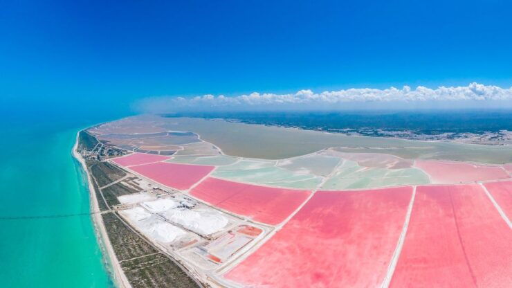From Cancun: Las Coloradas - Safari & Salt Mining Day Trip - Experience Highlights