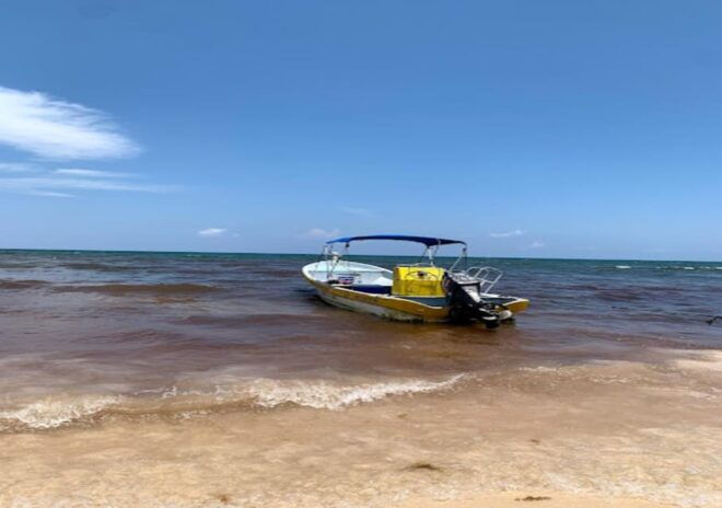 From Cancun: Ocean Reef Snorkeling - Experience Highlights