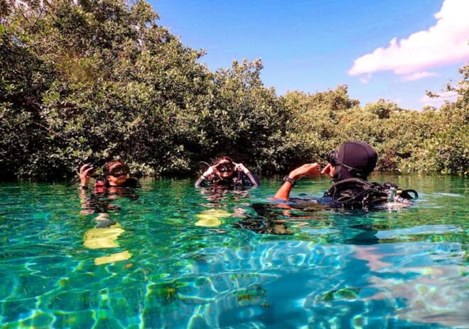 From Cancun: Ocean Reef Snorkeling - Whats Included