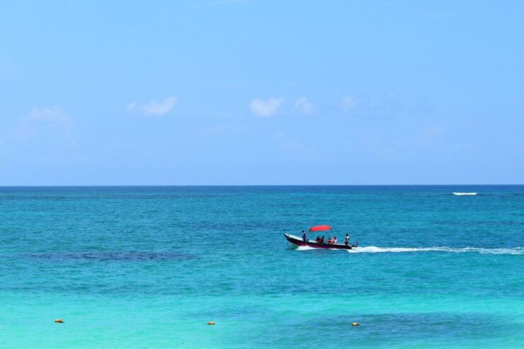 From Cancun or Playa Del Carmen: Tulum Discovery Tour - Experience Highlights