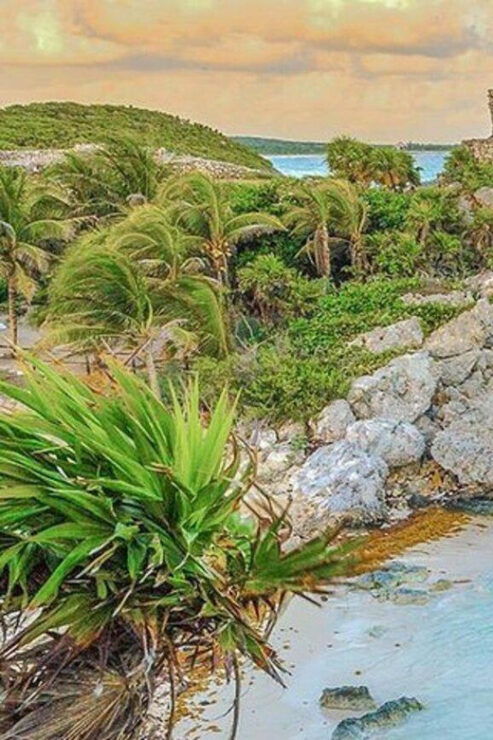 From Cancún/Playa Del Carmen: Tulum Ruins Guided Tour - Transportation and Logistics
