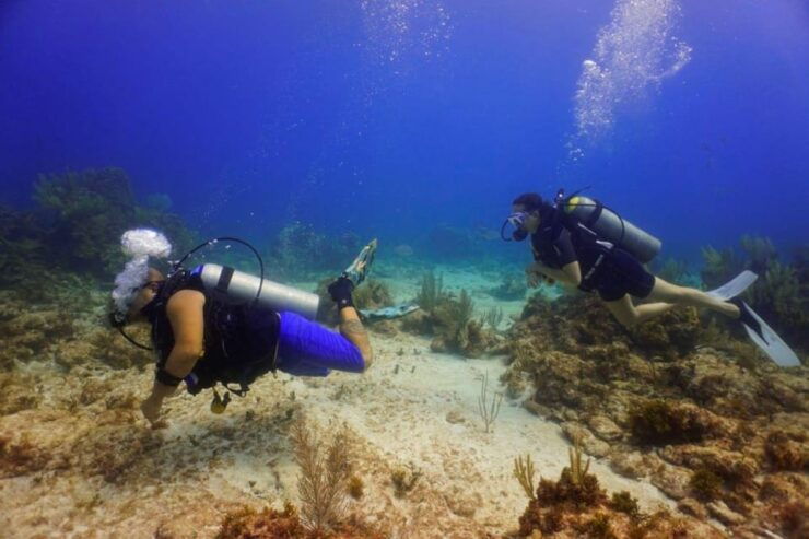 From Cancun: Puerto Morelos Diving Adventure - Good To Know