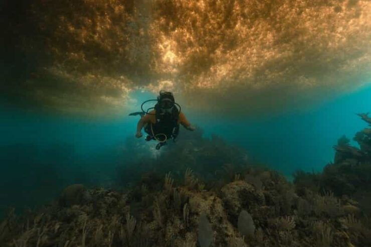 From Cancun: Puerto Morelos Diving Adventure - Dive Experience
