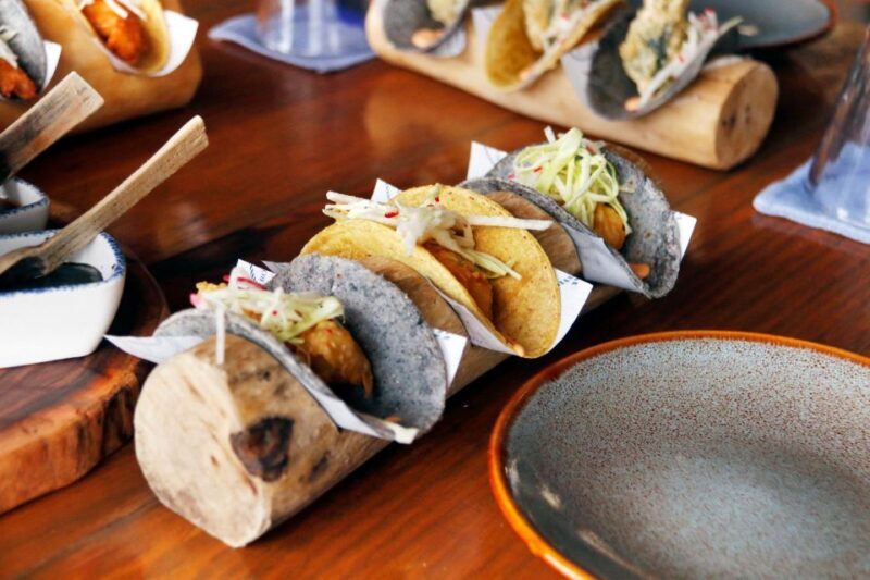 From Cancún: Puerto Morelos Guided Taco Tasting Tour - Who Will Love This Tour