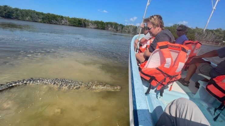 From Cancun: Rio Lagartos and Las Coloradas Day Trip - Activity and Duration