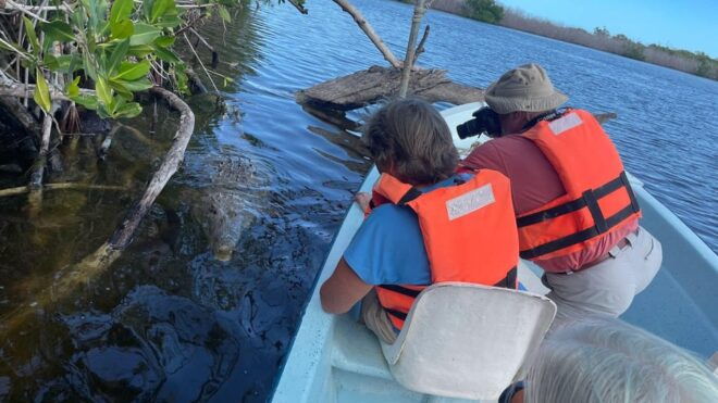 From Cancun: Rio Lagartos and Las Coloradas Day Trip - What to Bring