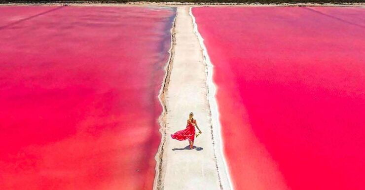 From Cancún: Rio Lagartos & Las Coloradas Day Trip & Lunch - Tour Details