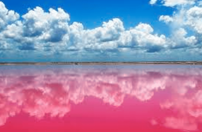 From Cancun: Rio Lagartos Y Las Coloradas Tour - Itinerary Details