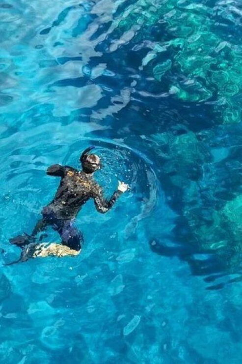 From Cancun: Snorkeling Cozumel The Heaven - Good To Know