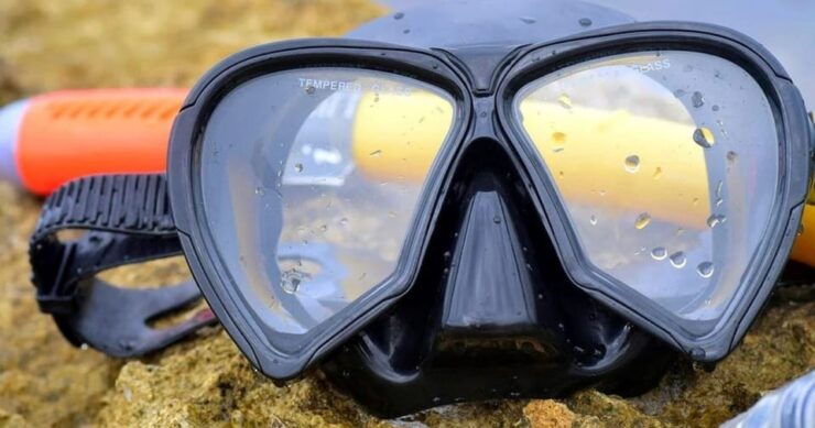 From Cancun: Snorkeling Cozumel The Heaven - Explore Cozumels Underwater Wonders