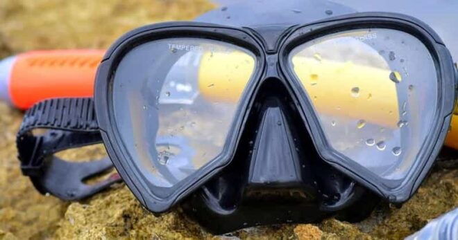 From Cancun: Snorkeling Cozumel The Heaven - Discover El Cielo Reef