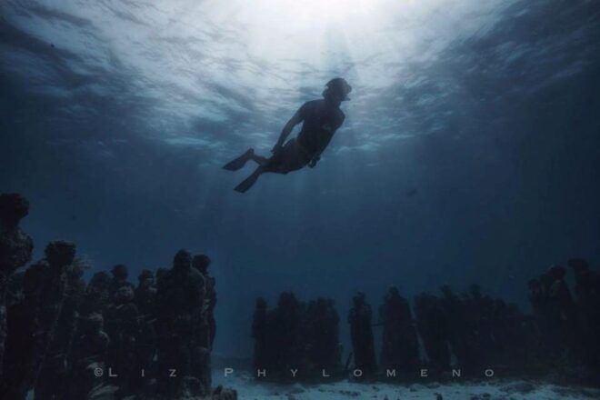 From Cancun: Snorkeling Cozumel The Heaven - Customizable Lunch Options