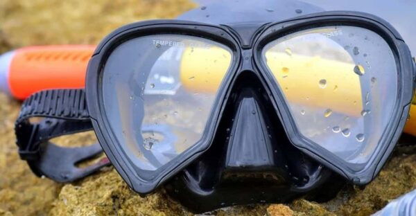 From Cancun: Snorkeling Cozumel The Heaven - Qualified Staff for Safety